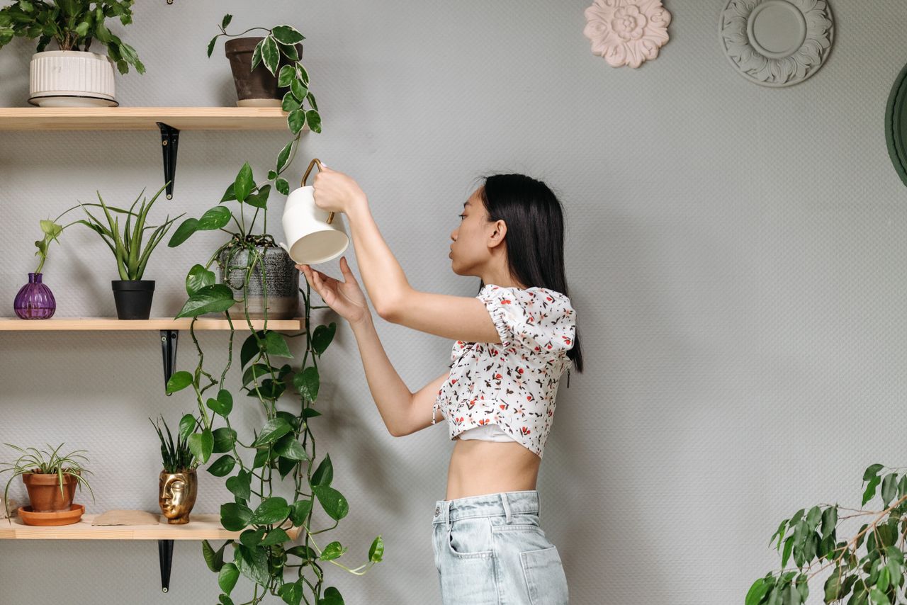 A young woman tending to indoor plants, enjoying a relaxing and mindful activity.